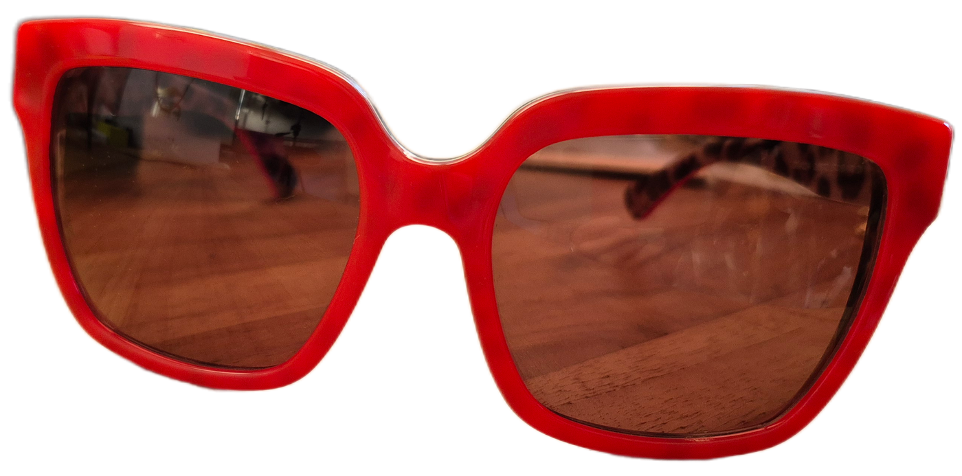 Dolce & Gabbana Shades Reloved